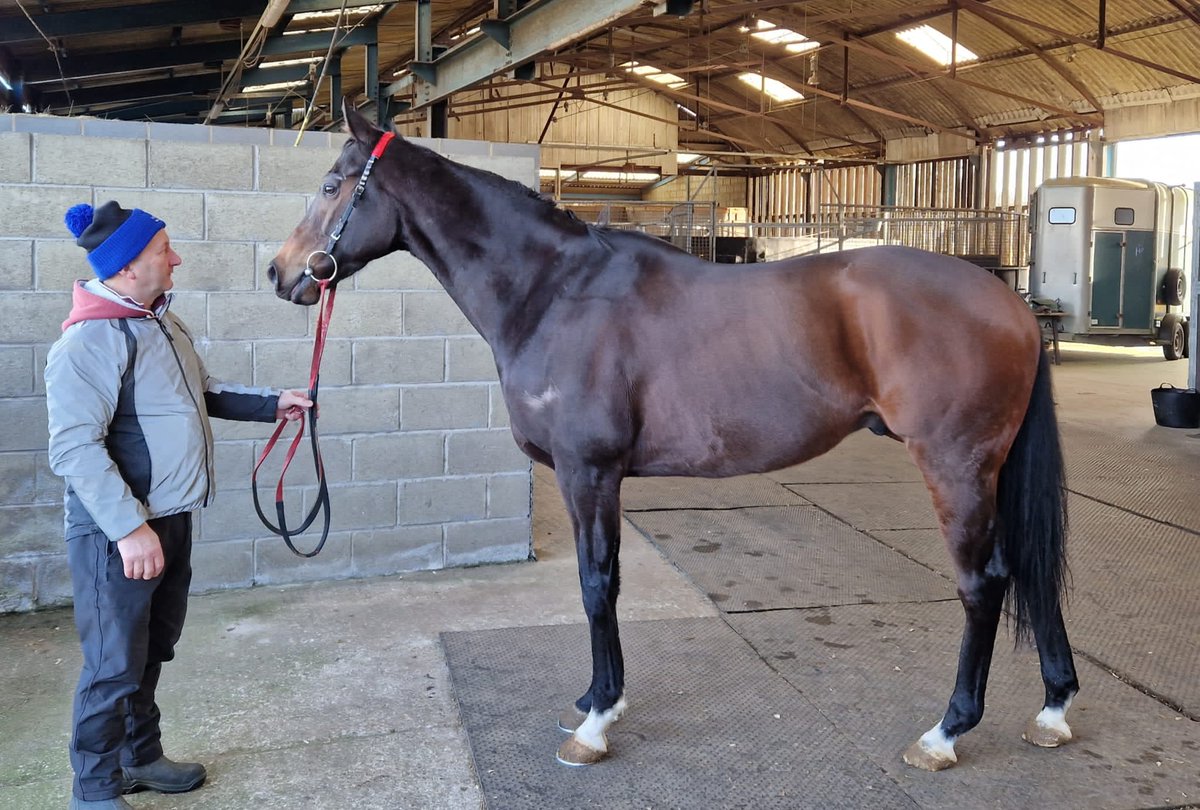 Arecibo has gone into training with Declan Carroll for the Santry Racing Syndicate.