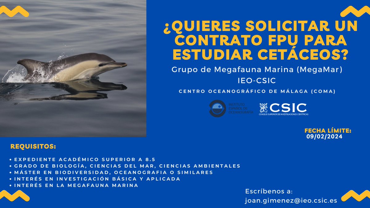Joan Giménez (@joan_gimenez) on Twitter photo ¿Quieres solicitar un contrato #FPU para estudiar cetáceos con el grupo de Megafauna Marina (MegaMar) del IEO-CSIC <a href="/IEOoceanografia/">Instituto Español de Oceanografía</a> en el Centro Oceanográfico de Málaga <a href="/IEO_Malaga/">IEO Málaga 🌊⛴️🐟🌡️🔬</a>? Ponte en contacto con nosotros por mail o DM. La fecha límite 09/02/2024. #cetaceos #ecologia ¿Quieres solicitar un contrato #FPU para estudiar cetáceos con el grupo de Megafauna Marina (MegaMar) del IEO-CSIC <a href="/IEOoceanografia/">Instituto Español de Oceanografía</a> en el Centro Oceanográfico de Málaga <a href="/IEO_Malaga/">IEO Málaga 🌊⛴️🐟🌡️🔬</a>? Ponte en contacto con nosotros por mail o DM. La fecha límite 09/02/2024. #cetaceos #ecologia