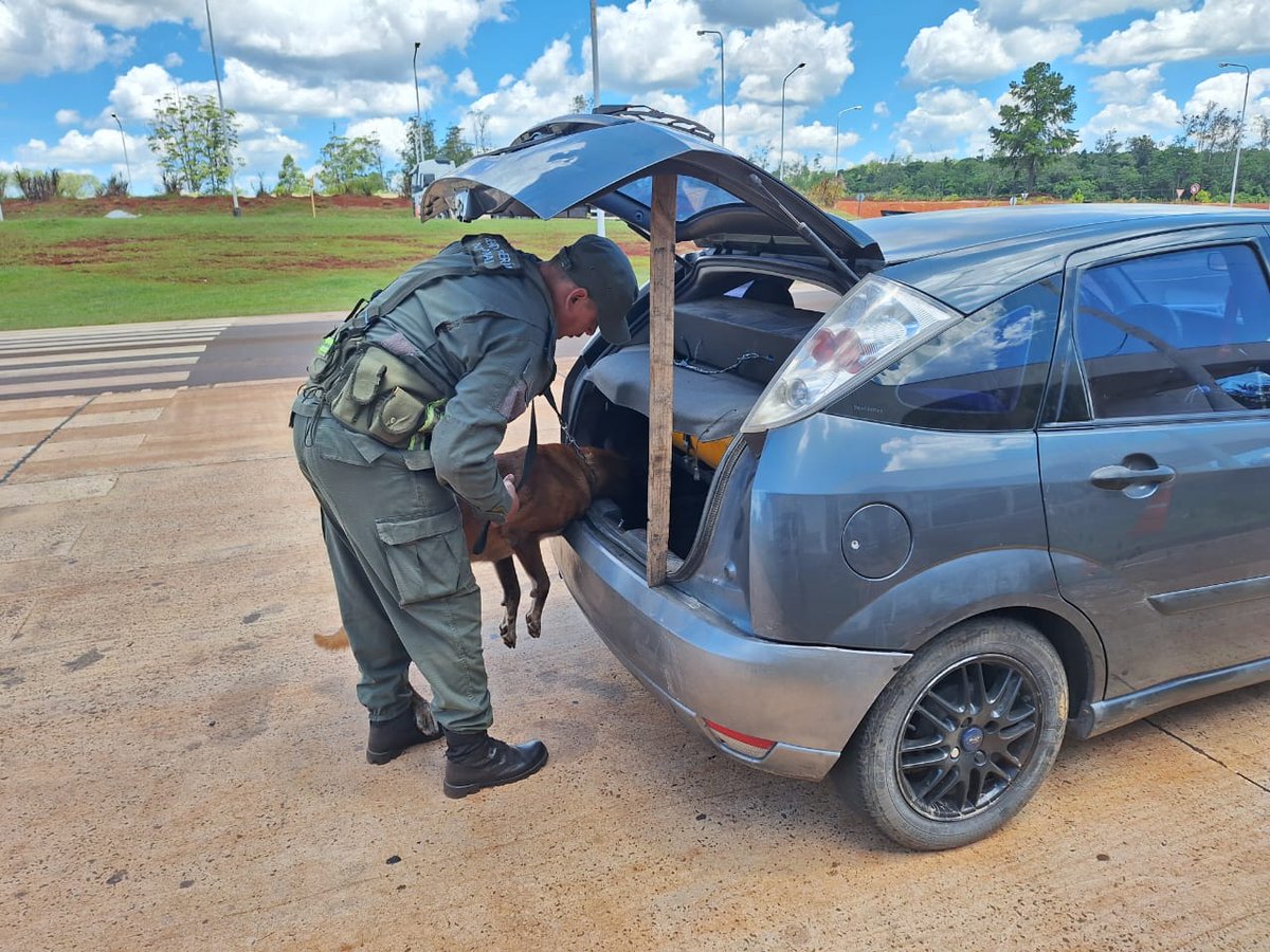 PatoBullrich's tweet photo. “Uno”, el perro antidrogas de Gendarmería, los delató: llevaban marihuana escondida en la rueda de auxilio. Dos detenidos y más de 6000 dosis incautadas en Misiones. 
¡Más controles en la frontera para lograr una Argentina libre de droga! https://t.co/aGE3ydUPiJ