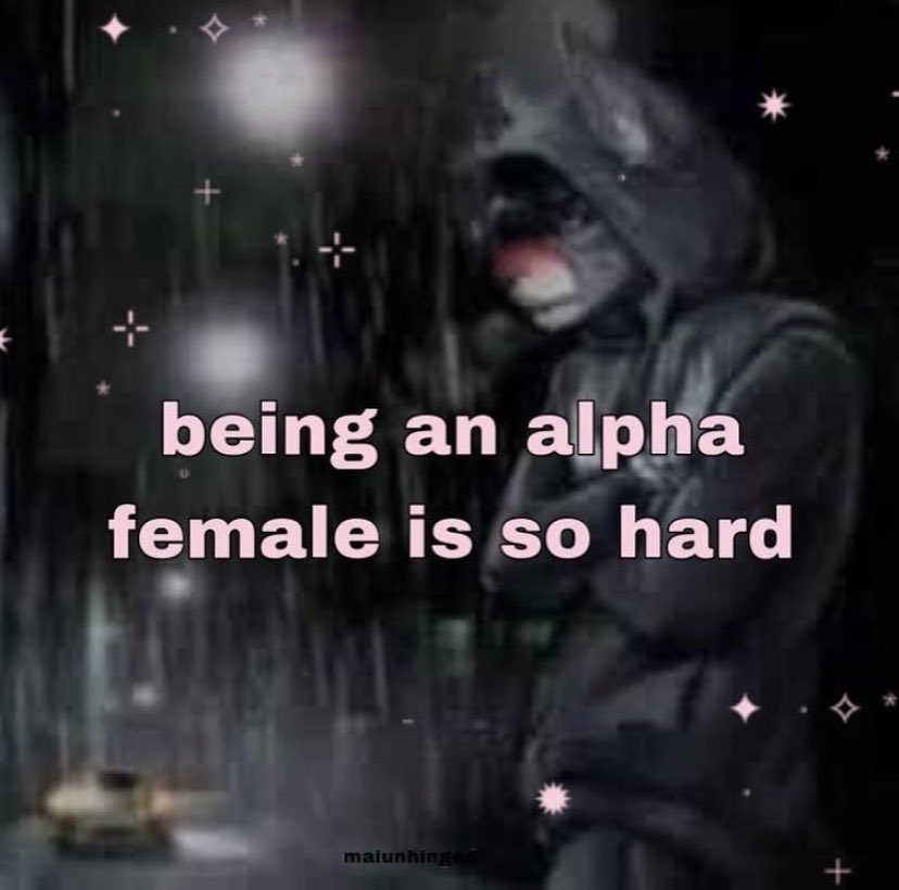 morgan sung tweet media