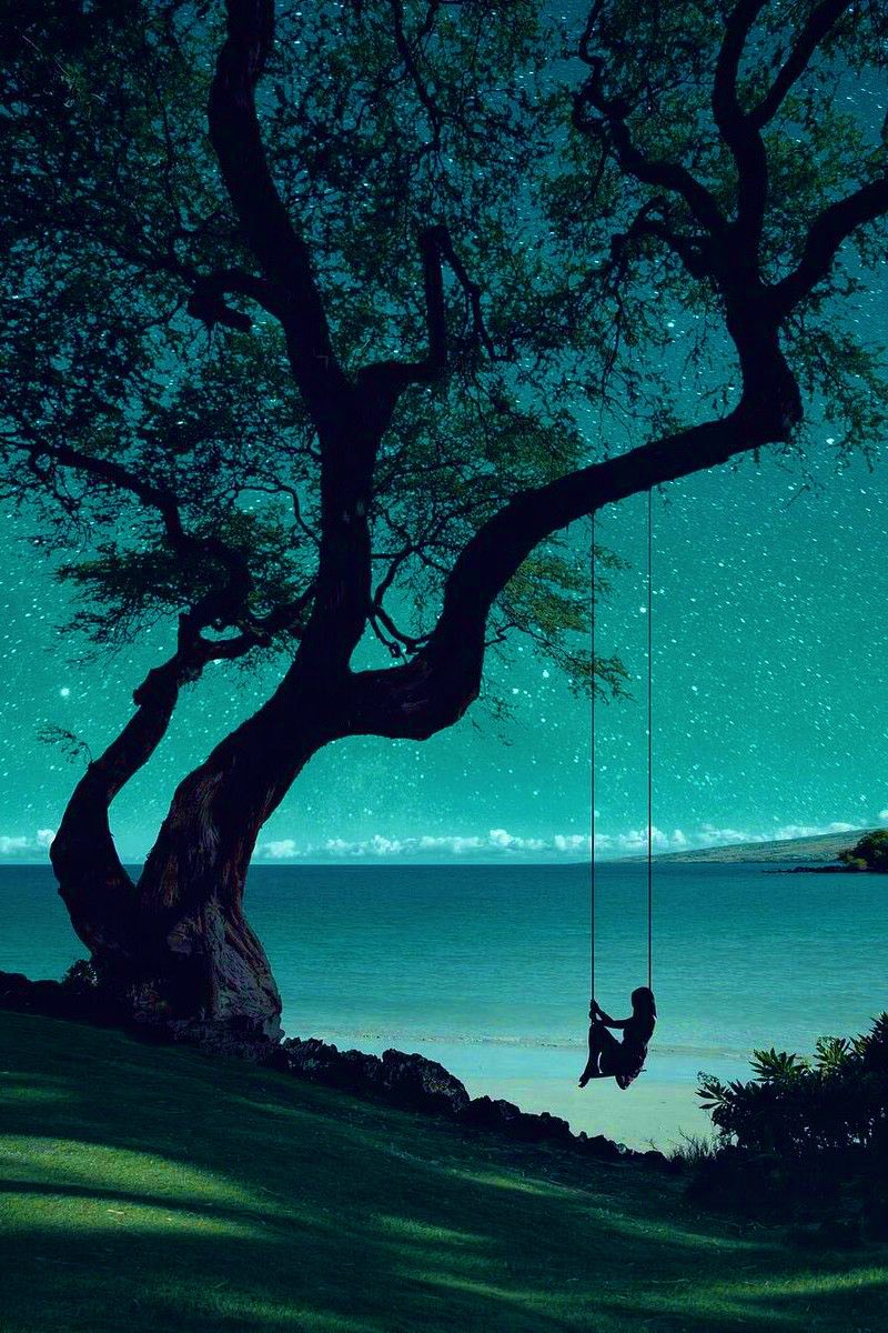 الــــوووفـــــ💛ــاء tweet media