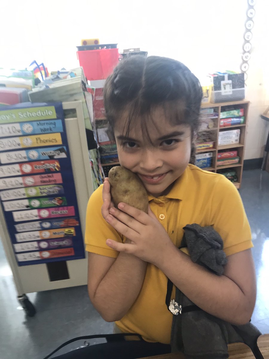 amycrithfield's tweet photo. Students @HCPSDavisES enjoyed having  ‘The Pet Potato’ by Josh Lacey &amp; Momoko Abe read to them. They also loved taking home their very own pet potatoes! 🥔 #literacy ♥️Davis Media @hubofschool https://t.co/bOZMhmMSu4