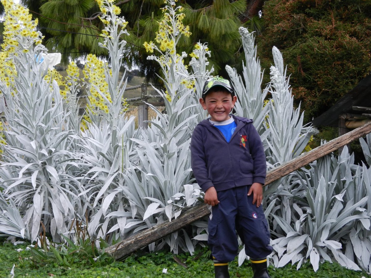 Juancho Sinisterra 🇨🇴 tweet media