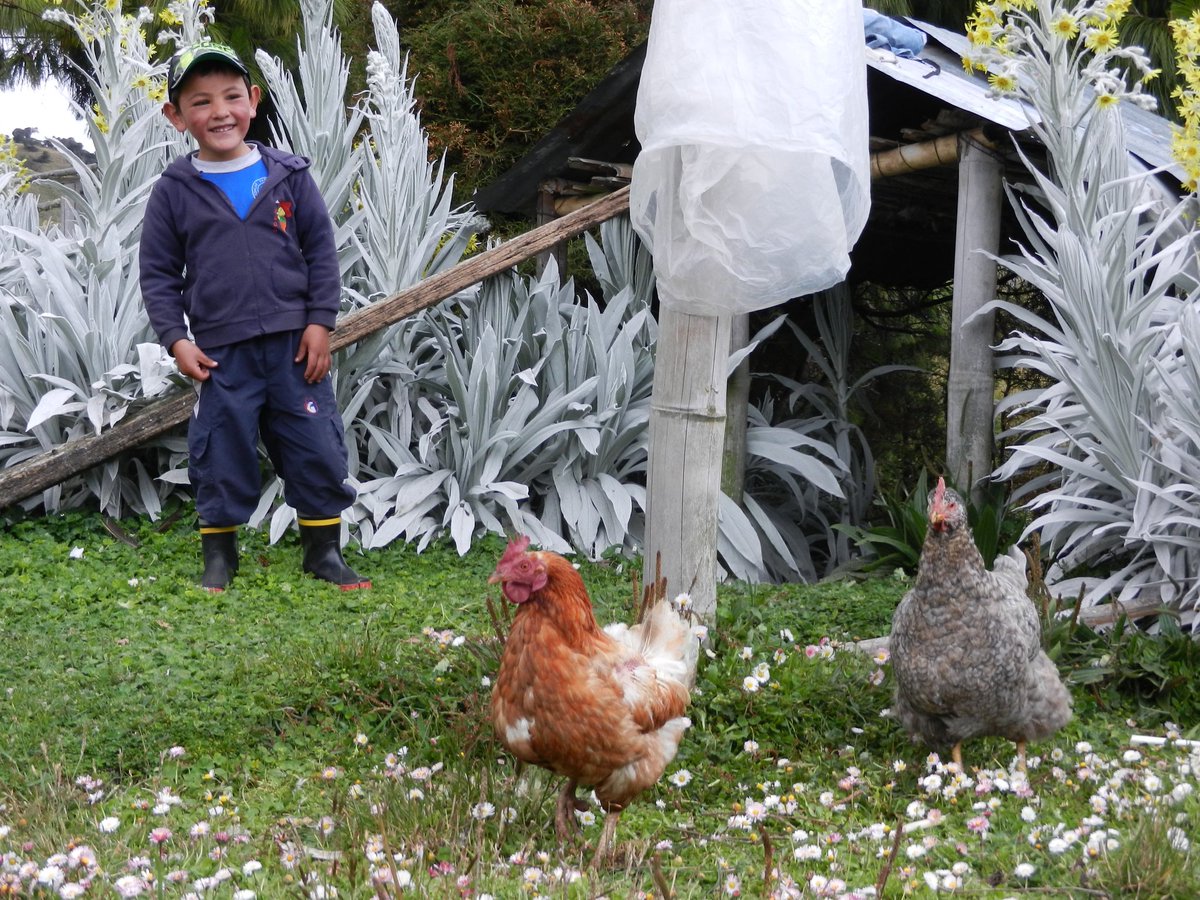 Juancho Sinisterra 🇨🇴 tweet media