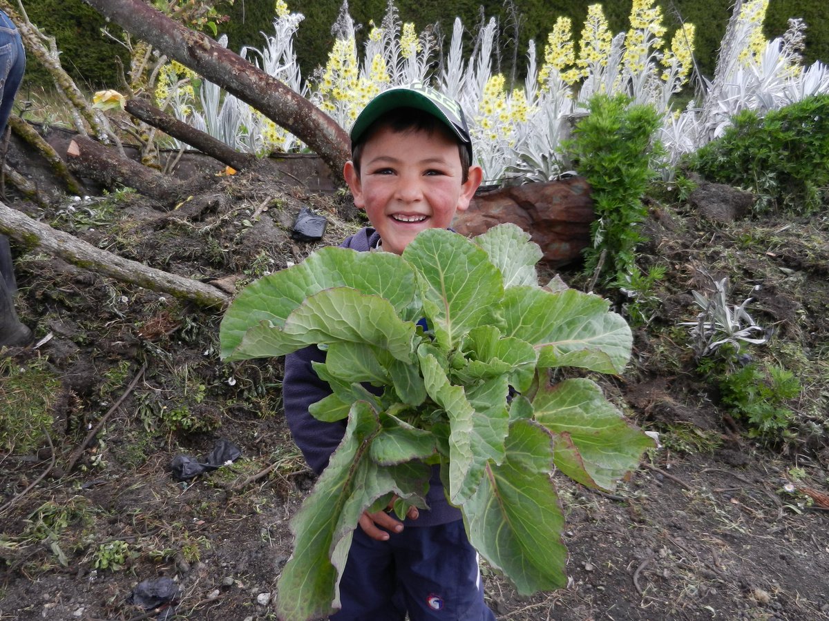 Juancho Sinisterra 🇨🇴 tweet media