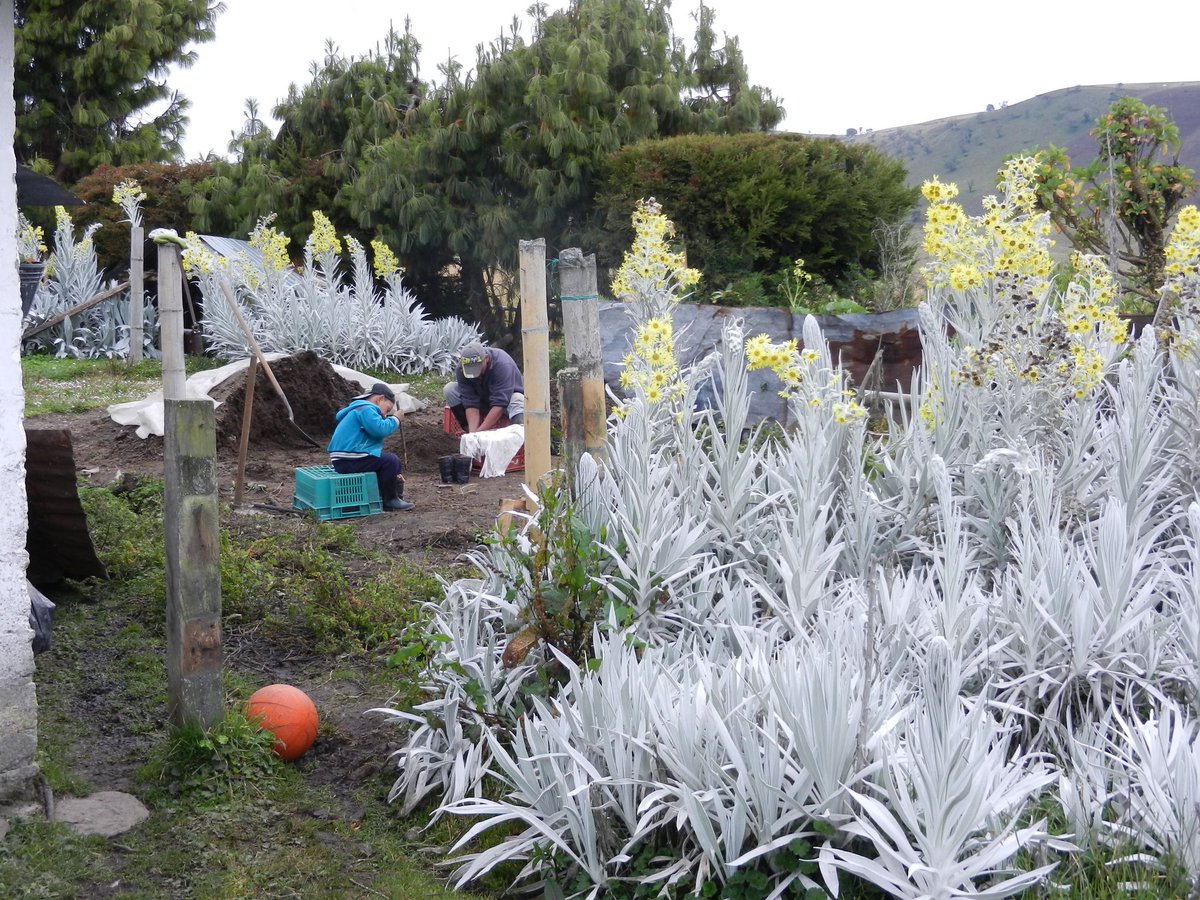 Juancho Sinisterra 🇨🇴 tweet media