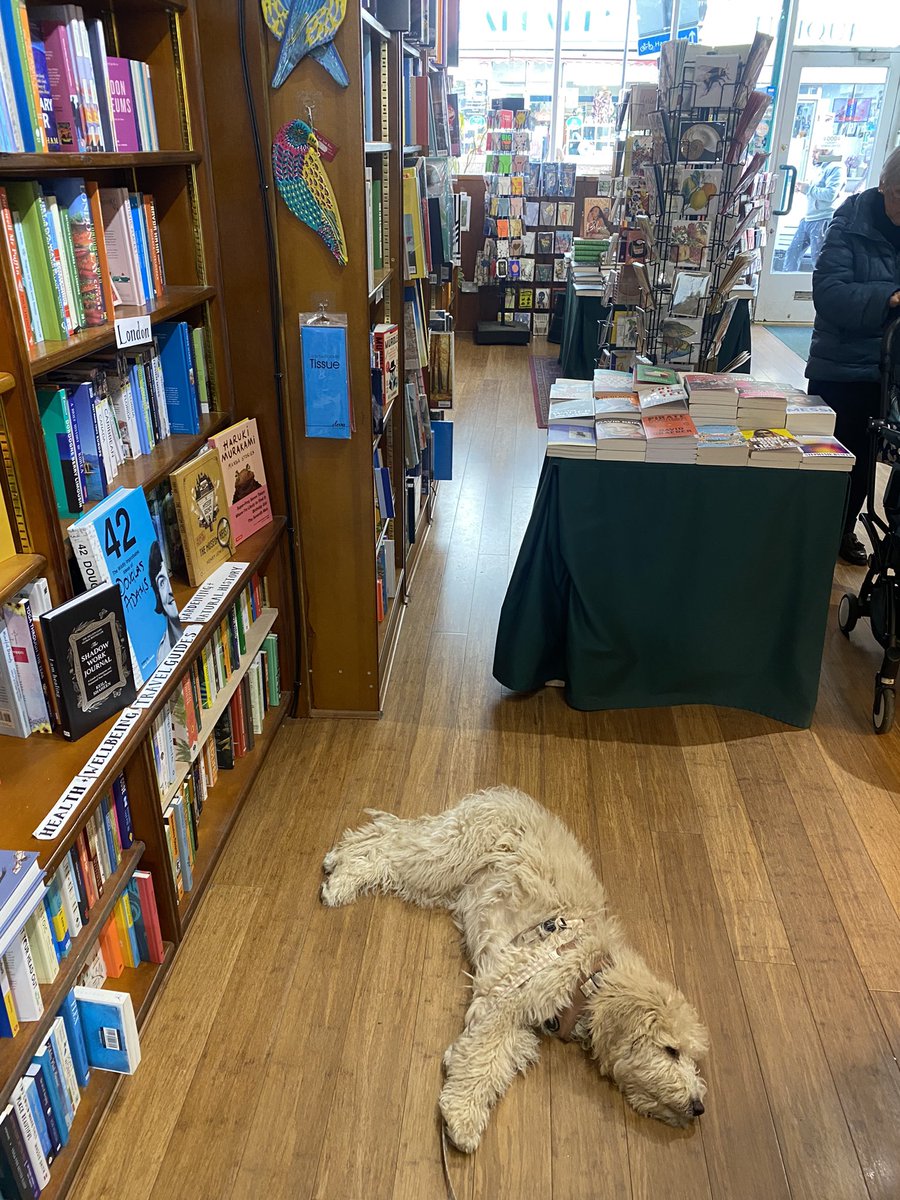 It’s publication week for #TheClockworkConspiracy and what better way to start than @samuelsedgman signing a TON of pre-ordered books with @WELBooks ! It was also my little Margot’s first trip to a bookshop, safe to say she was right at home 😅