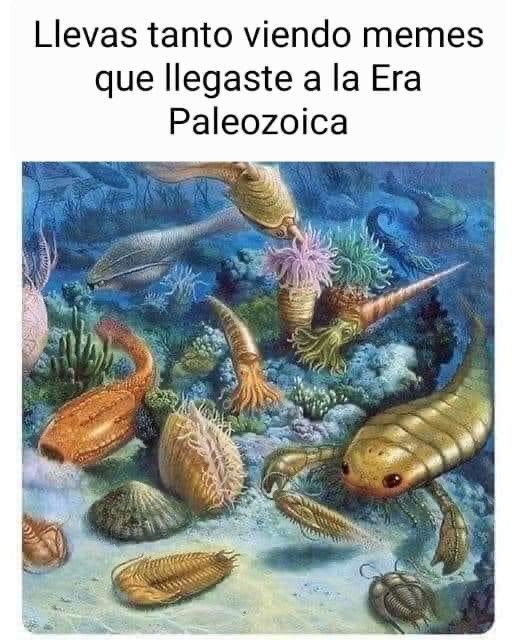 Enséñame de Ciencia (@ensedeciencia) on Twitter photo 