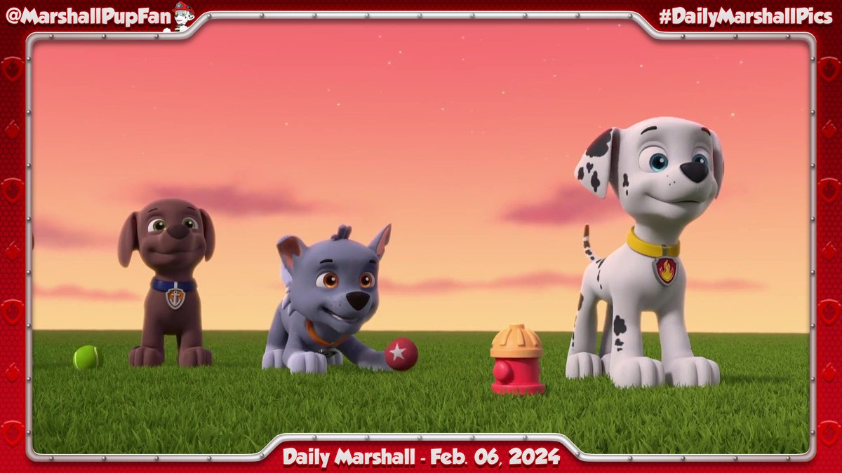 Marshall Pup Fanatic tweet media