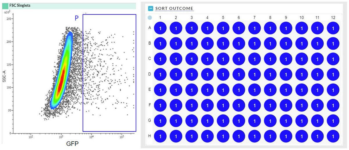 QuIPS_Platform tweet media