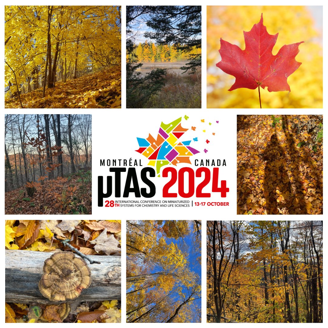 Need another reason to come to microTAS in October? You will be able to experience the world-famous 'fall foliage' by taking part in one of many social events while networking with colleagues from around the world. Abstract deadline: 14 May #microfluidics #labonachip