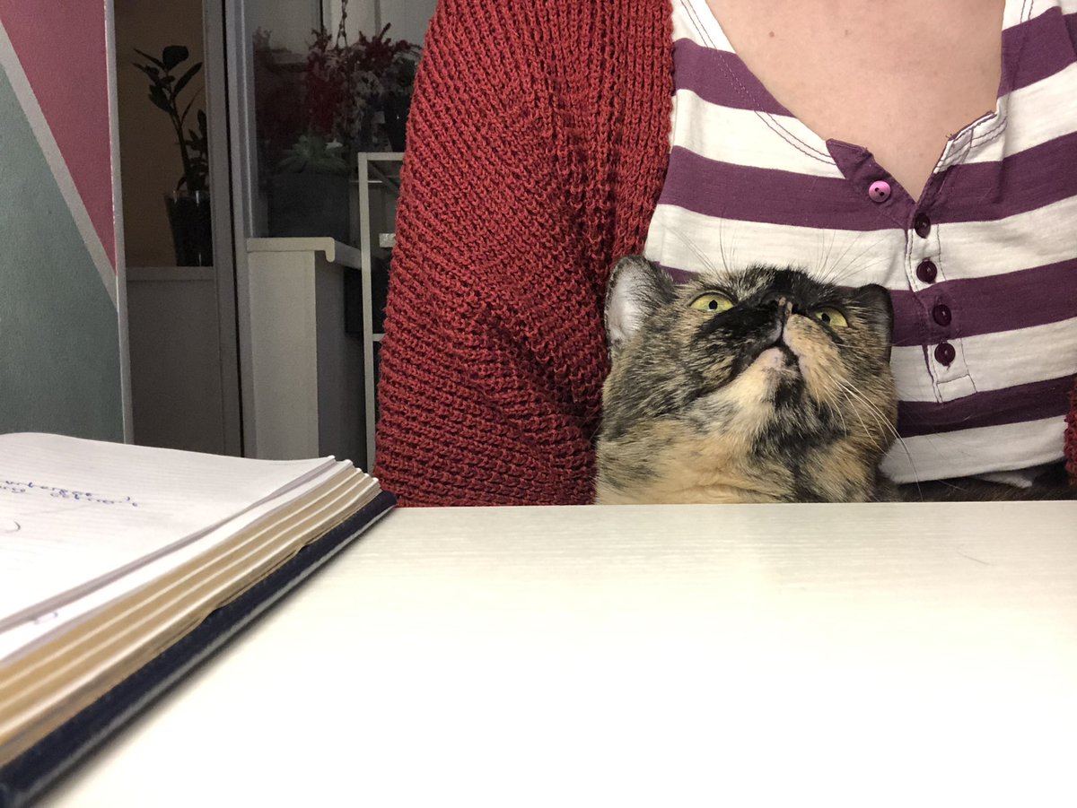 еленочка в темном лесу tweet media