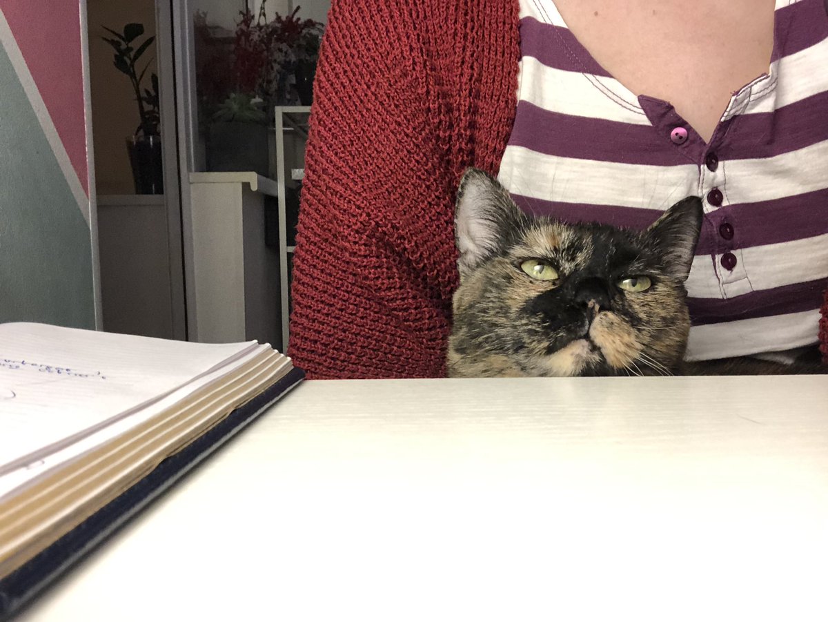 еленочка в темном лесу tweet media