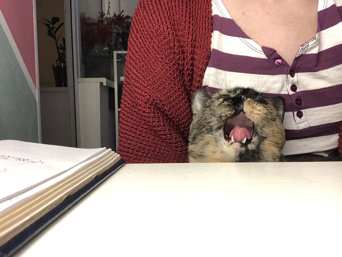 еленочка в темном лесу tweet media