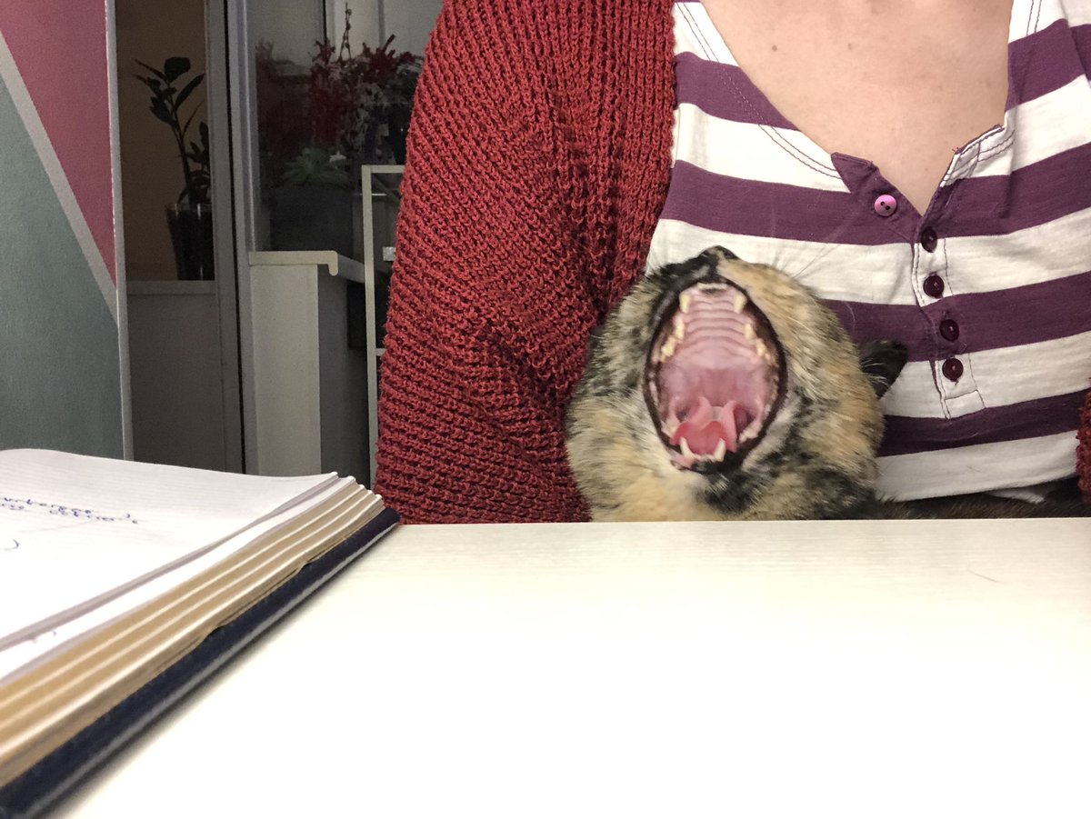 еленочка в темном лесу tweet media