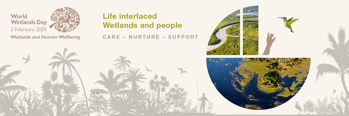 Fri, Feb. 2 is #WorldWetlandsDay The theme for the day is “Wetlands and Human Wellbeing” 
worldwetlandsday.org/story/-/detail…