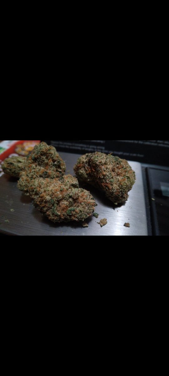 Floatin101's tweet photo. Today's #Strain Review is Badu by @fatbellybella 1st hit a wild exotic citrus green orange mango flavor which is so beautiful like listening to On &amp; On. Headhigh is so euphoric with a dreamy feel while the bodyhigh is a creeper very soothing an enjoyable #Marijuana #Mmemberville https://t.co/q8uidpucKq