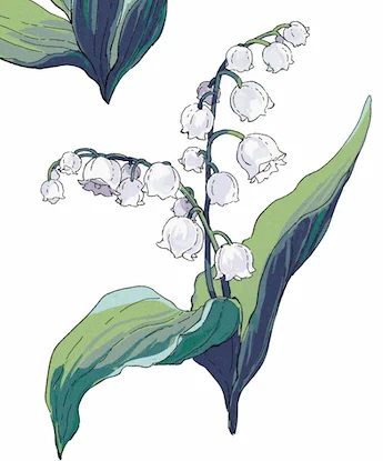 アルカロイドの花嫁単行本、装丁の地に使われてるお花も描いてるんですが、一巻のデザインを決めるとき仮で一緒に出したカラーverもお気に入りです 
