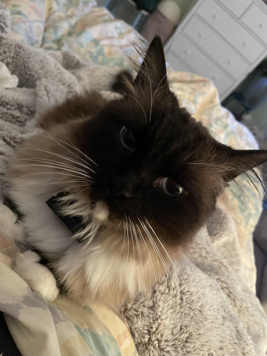 Jade Talbot, PhD tweet media