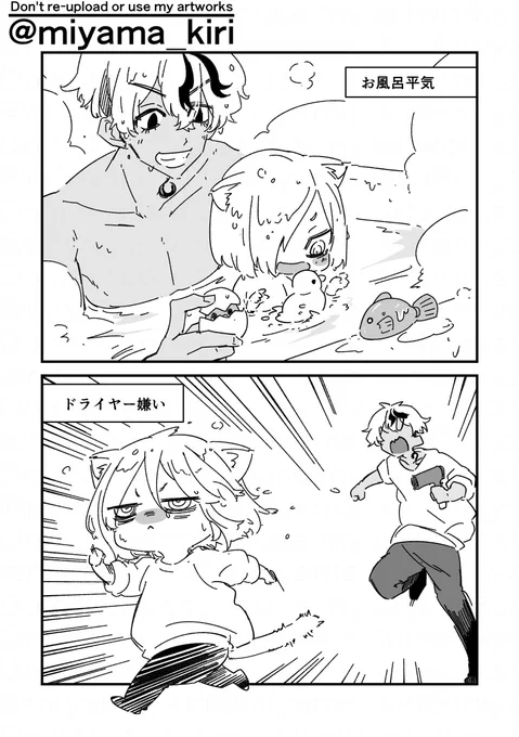 ヌコジロちゃんと☆
あったかい水たまりは楽しくて好きだけど、デカい音のするやつは嫌い 