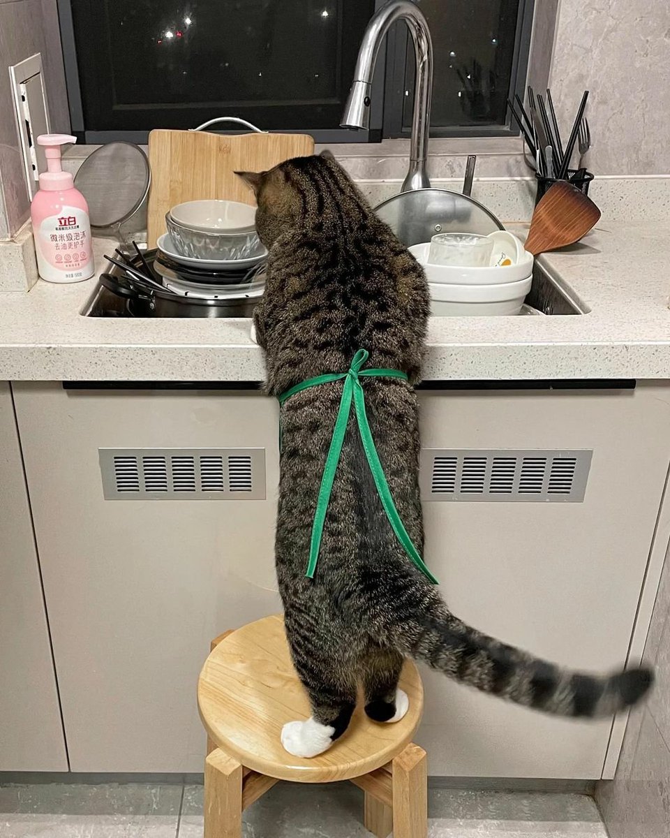 Kitchen helper