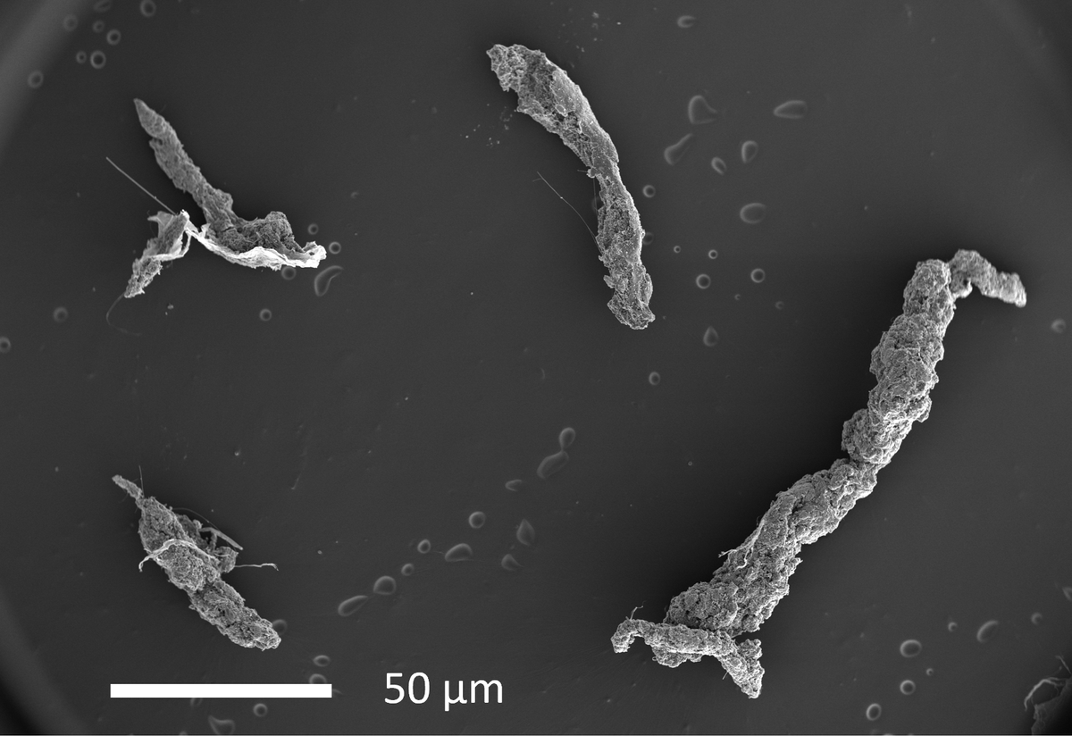 PlymUni's tweet photo. Microparticles from road tyres are “high concern” pollutants, research shows https://t.co/wpL8ryWe3M 🧵 https://t.co/e2tJXcN1LL