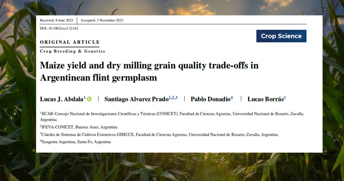 lucasjabdala's tweet photo. The trade-off between yield and dry milling quality in maize is trait-dependent. 🌽🌽

Check our latest article in @crop_science: https://t.co/CTrXlniGOp

@PituBorras, @SantiagoAPok, @OficialGimuce, Pablo Donadio https://t.co/geVGZkpo1H