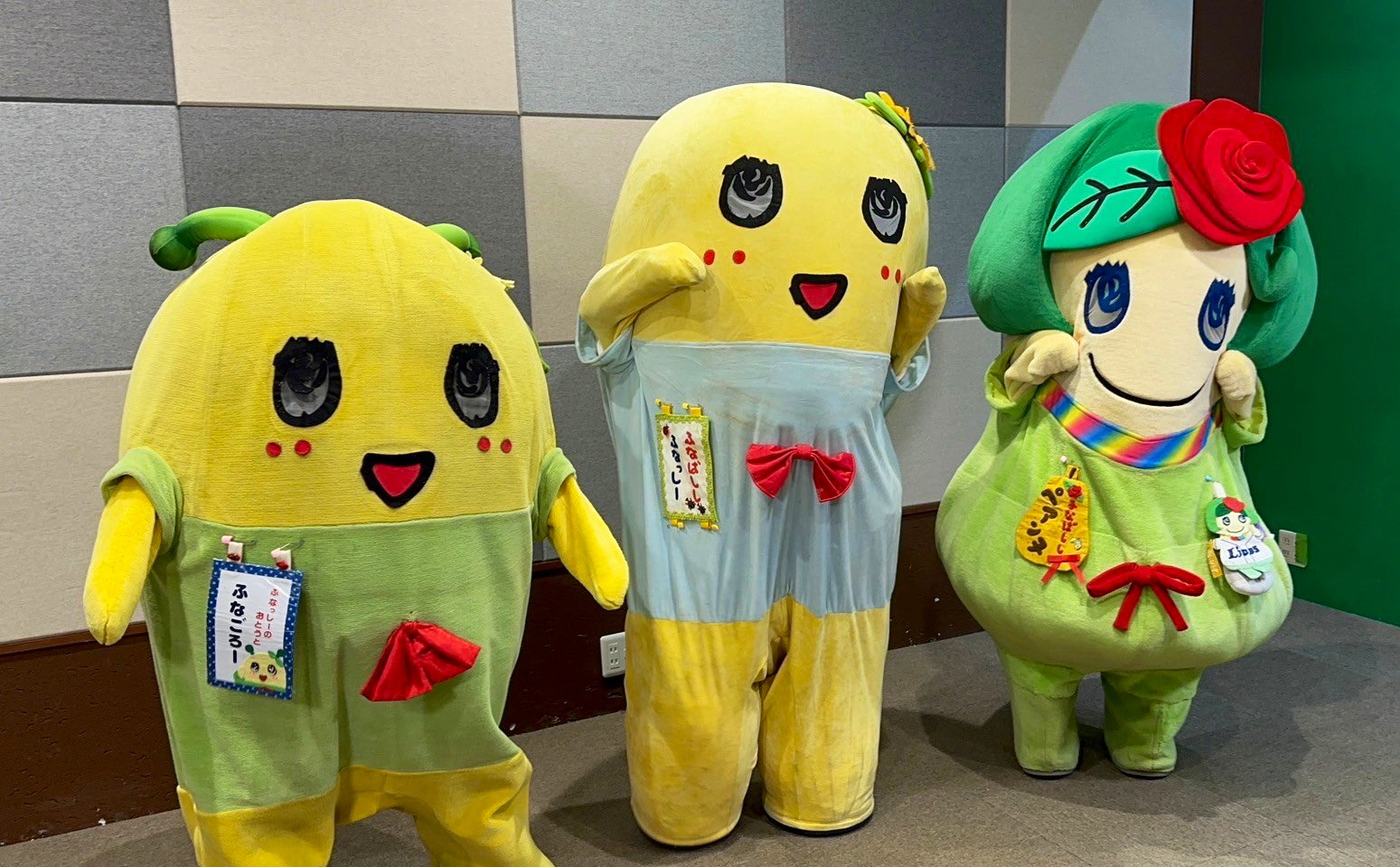 ふなっしー💙 on X:  