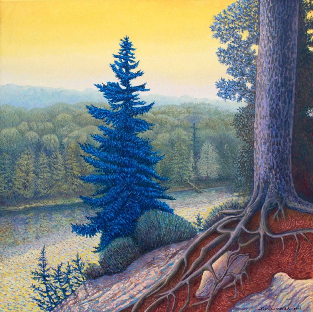 johnkinsella52's tweet photo. Blue Pine, Two Rivers Trail 
Oil on canvas 
36 x 36 inches 
#art #ArtLovers #oilpainting #painting 
#Bluepine #algonquinpark https://t.co/eMUTH5TBhf