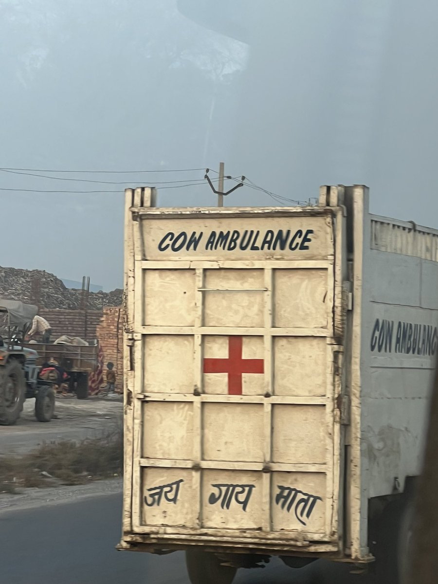 Marios Kalochoritis tweet media