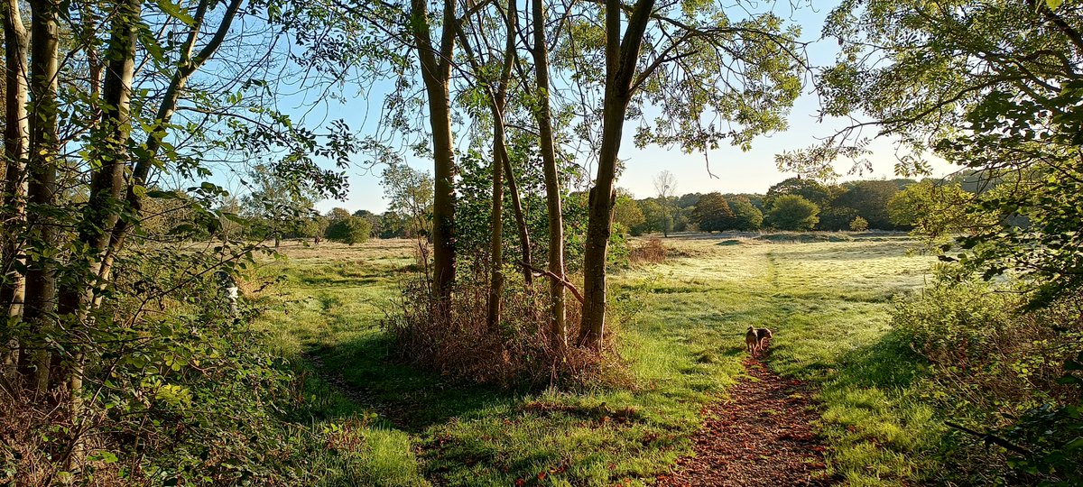 Wild Justice tweet media