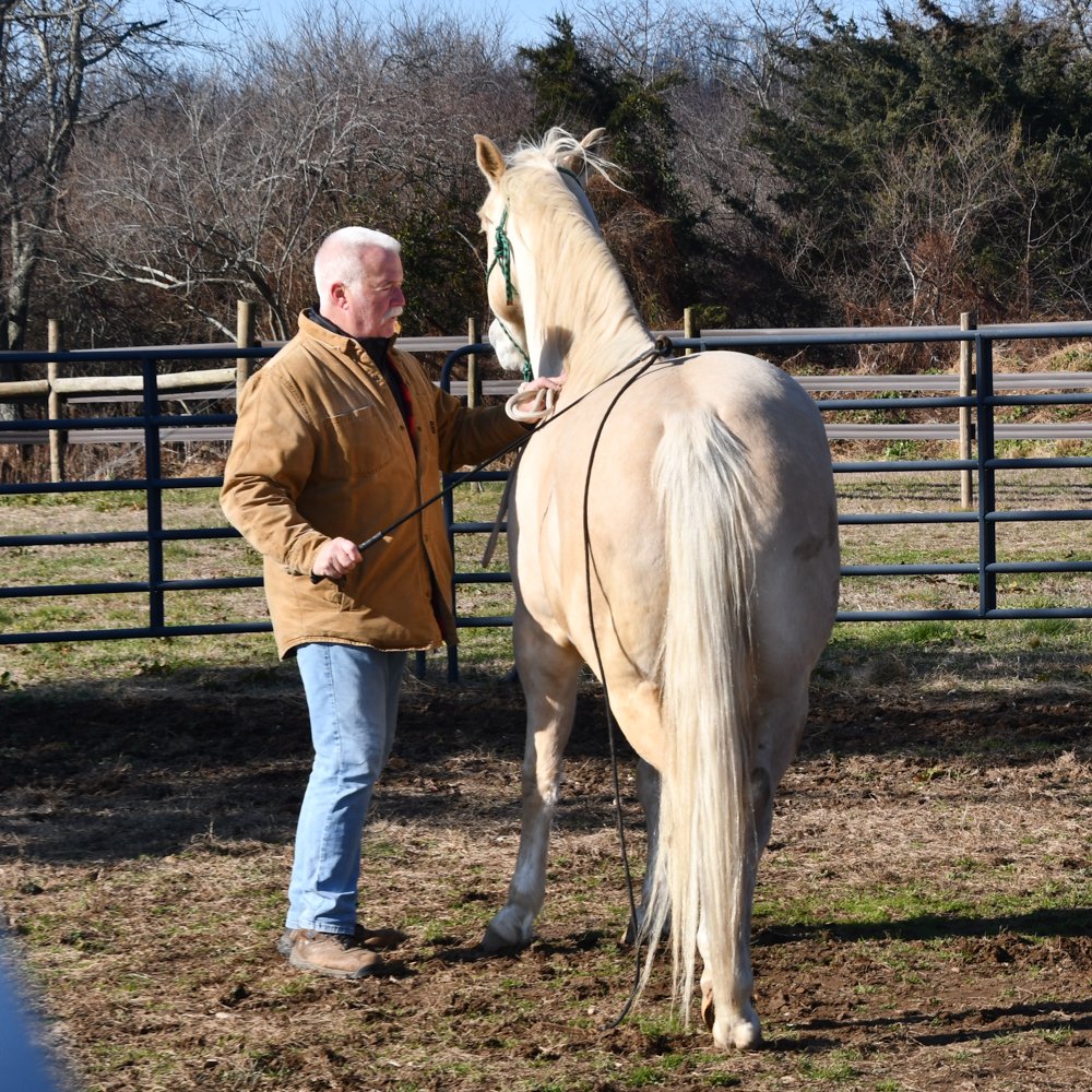 warrior_ranch's tweet photo. First responder Joe D. and Lucky are building trust and communication through silent groundwork exercises. This silent dialogue deepens their bond, honing effective communication between human and horse as they journey toward trust and connection.
#EquineTherapy #FirstResponders https://t.co/MVmcJG4YPg