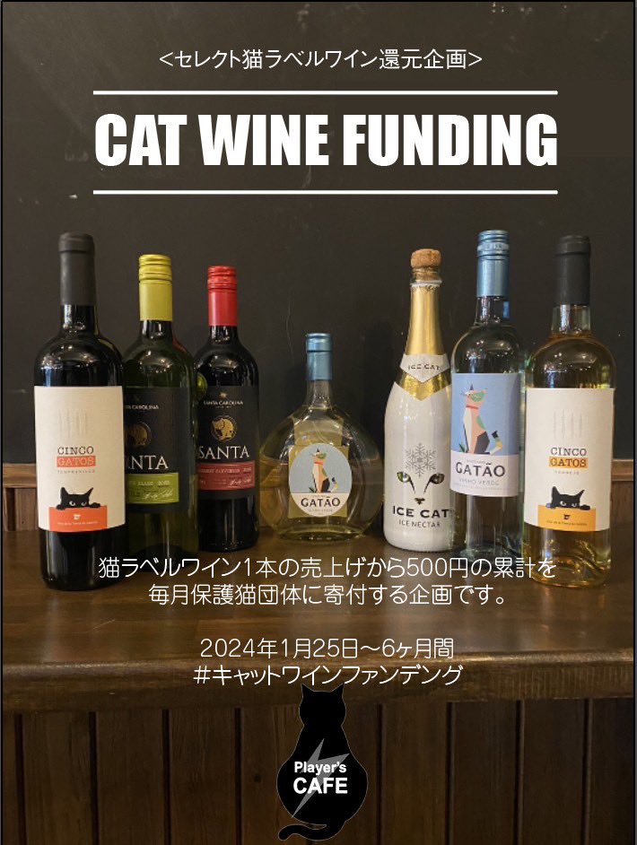 koza_gate2's tweet photo. プレカフェでワインを飲むだけで保護猫活動を支援！Support cat rescue efforts just by sipping wine at the pre-cafe!
猫のイラストワインをスタッフがセレクト仕入れしプレカフェ内で販売。ワイン1本の売上げから500円の累計を毎月保護団体に寄付する企画🥰🐈🍷 https://t.co/JHSn4yQjTr