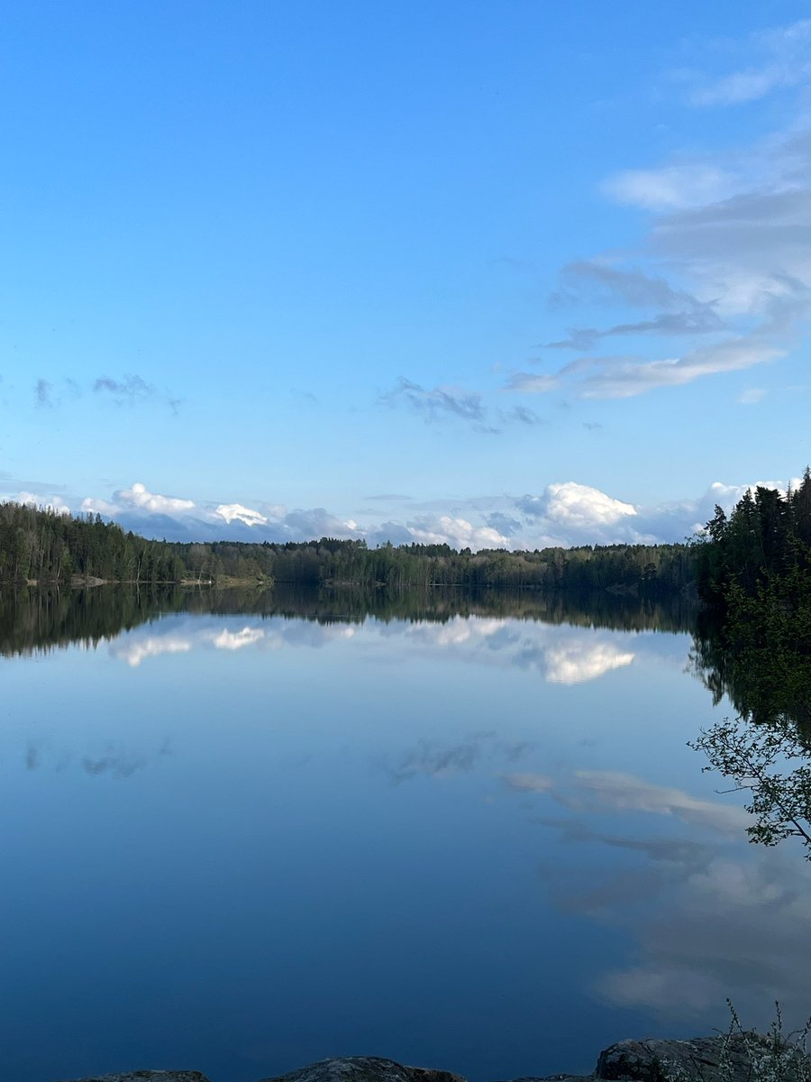 📢 please RT: paid field assistant position‼️ We are searching for an experienced person to help us with our 2024 field season (April-July). We work with #piedflycatchers in beautiful Södermanland, Sweden! Last date to apply: 31 March 2024. Details: bit.ly/3u3WwEW