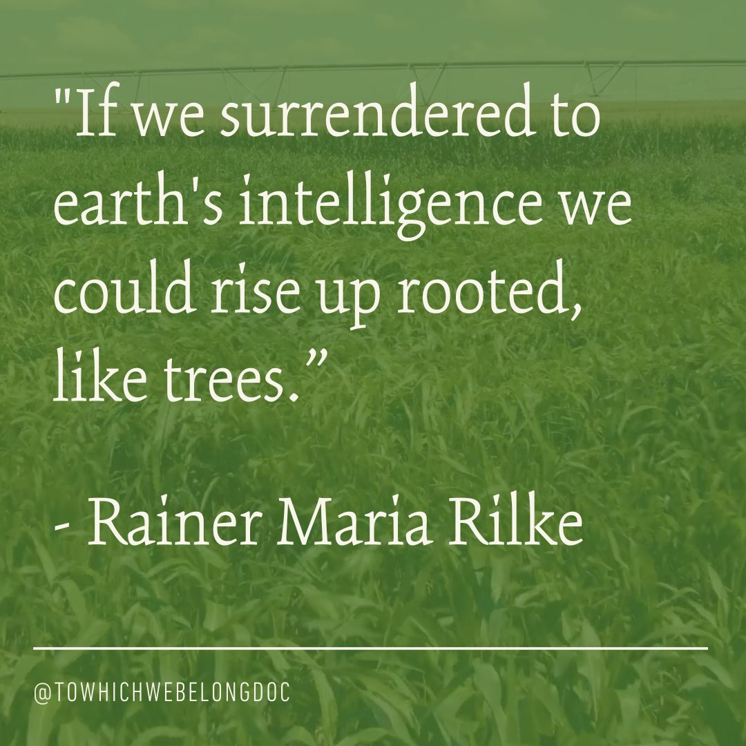 ToWhichWeBelong's tweet photo. “If we surrendered to earth's intelligence we could rise up rooted, like trees." - Rainer Maria Rilke
🎥 TO WHICH WE BELONG available now on Apple, Amazon, Google Play, Vimeo, Vudu, & YouTube.
WATCH: https://t.co/8WQzLZR9qx
#naturequote #rainermariarilke #regag https://t.co/CGlCosLlSx