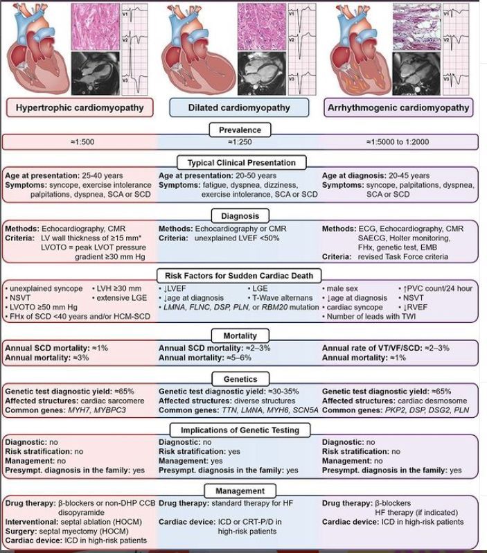 ZHeart11768530's tweet photo. Overview of Cardiomyopathy and its types. 

Simplified!
#Cardiotwitter #cardiology #CardioEd #medtwitter #diagnosis https://t.co/CmqbCUek1l