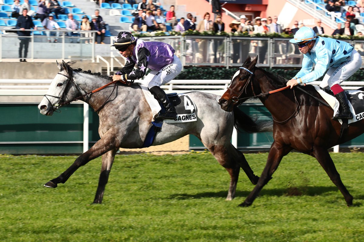 MAGELLAN (Ecurie Lenglet) strode to a lovely win in the feature handicap at Cagnes-sur-Mer today. Given a great ride by @maximeguyon_off Congratulations to all connections!