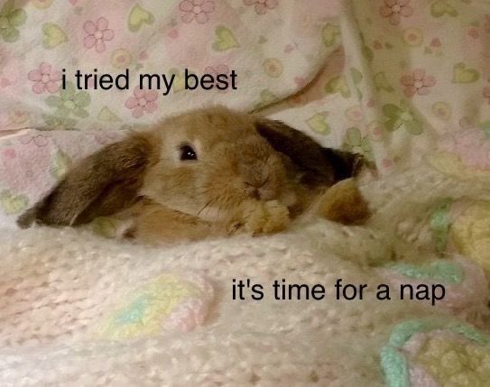 hauteblood's tweet photo. me, everyday: https://t.co/EFhfDi2vg9