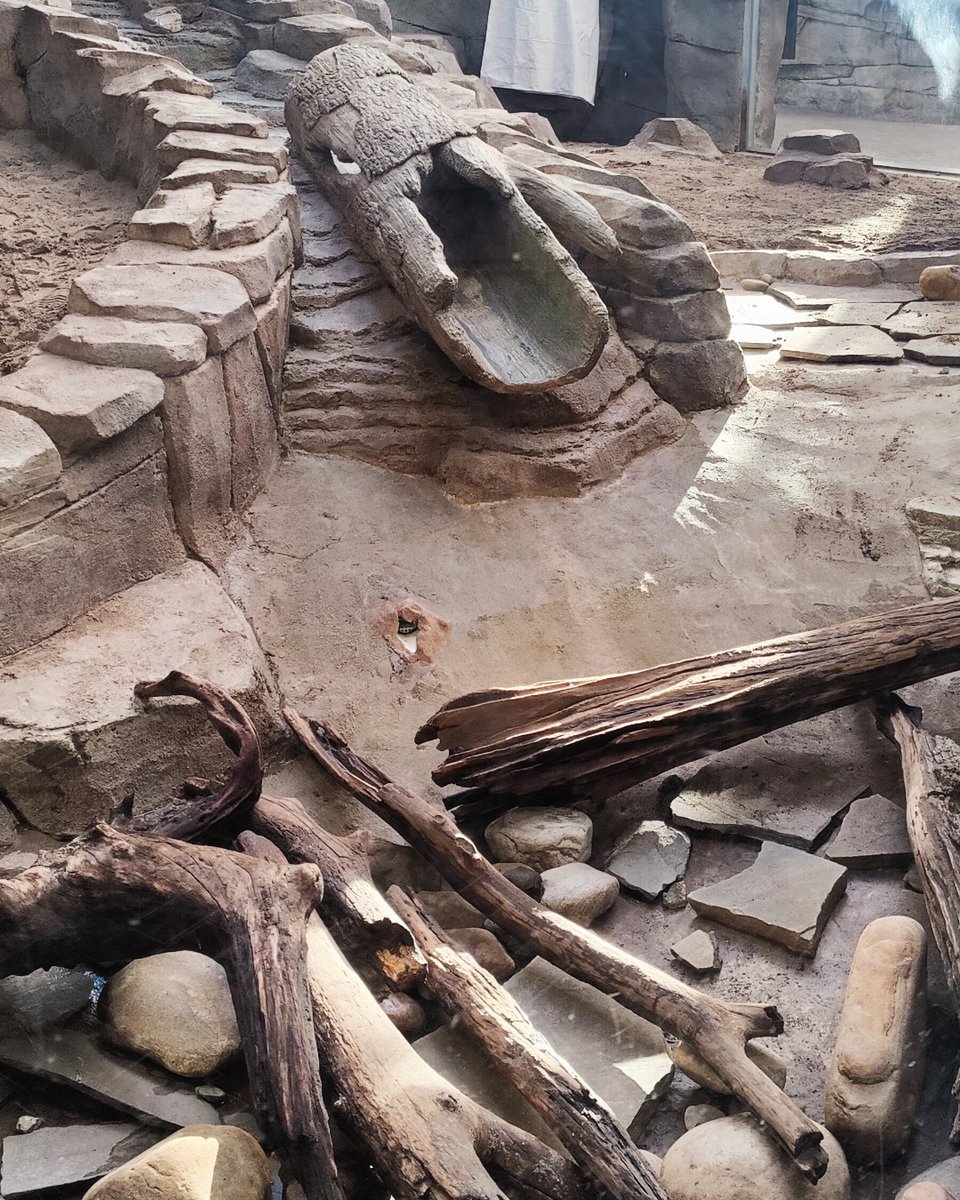 NCAquariumFF's tweet photo. Changes are happening at the Aquarium!
We are closed this week, Jan. 29-Feb.2, working on our sparkle and shine, tackling large projects and enhancing animal care. We will be ready to see your smiling faces when we reopen Saturday Feb. 3 at 9 a.m. https://t.co/S2DnUX2OPJ