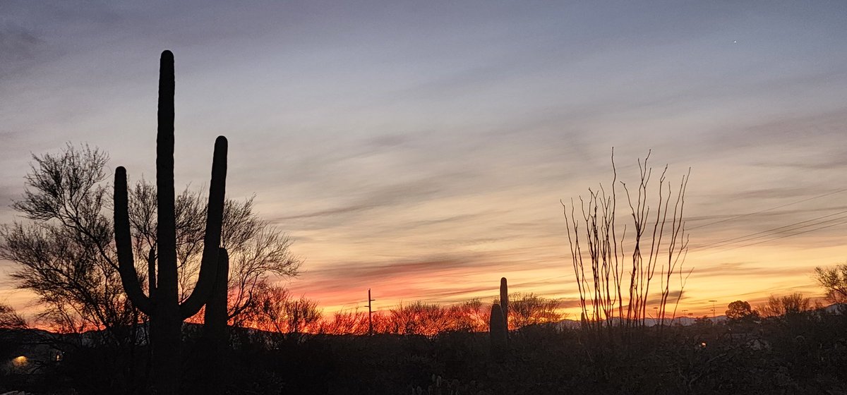 Good morning, Tucson. Have a great week. #sunrise