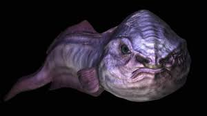 JOHUA PAREDES REYES tweet media