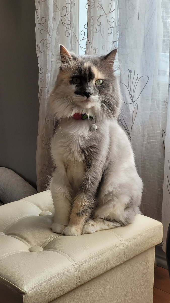 annboba's tweet photo. i miss her so much https://t.co/jhIxY5WWLx
