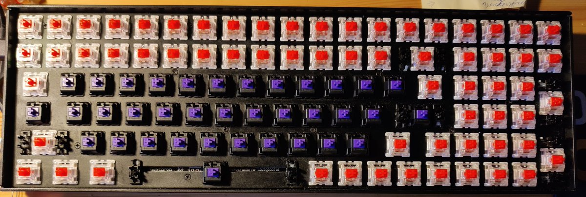 SavvyDev06 tweet media