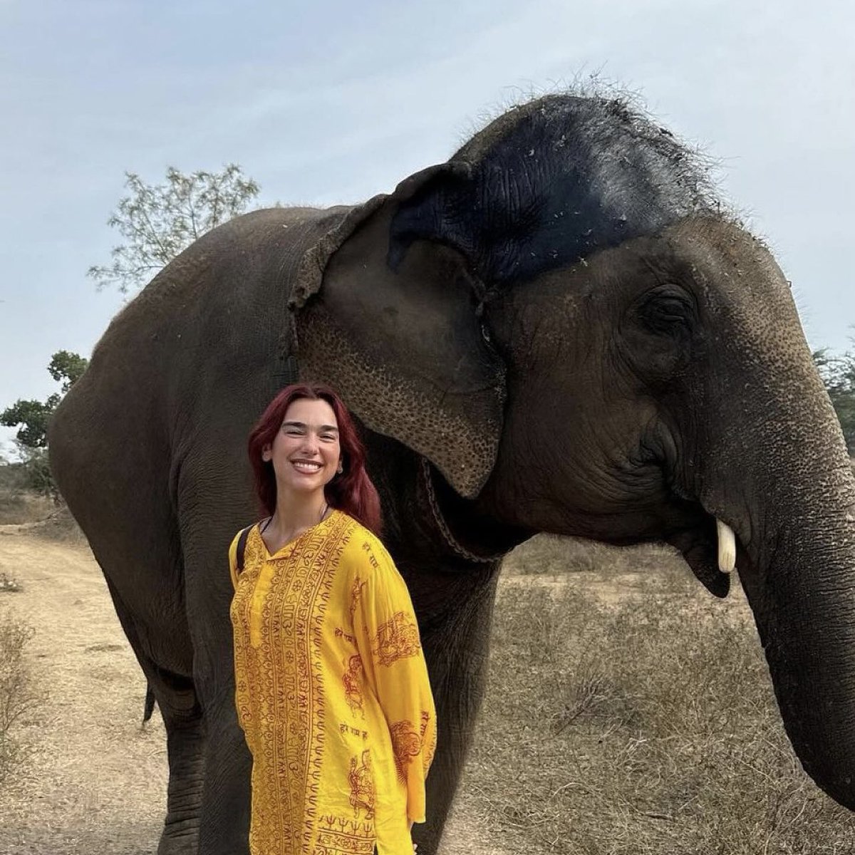 PopBase's tweet photo. Dua Lipa stuns in new photo. https://t.co/TGIZqmc6ho