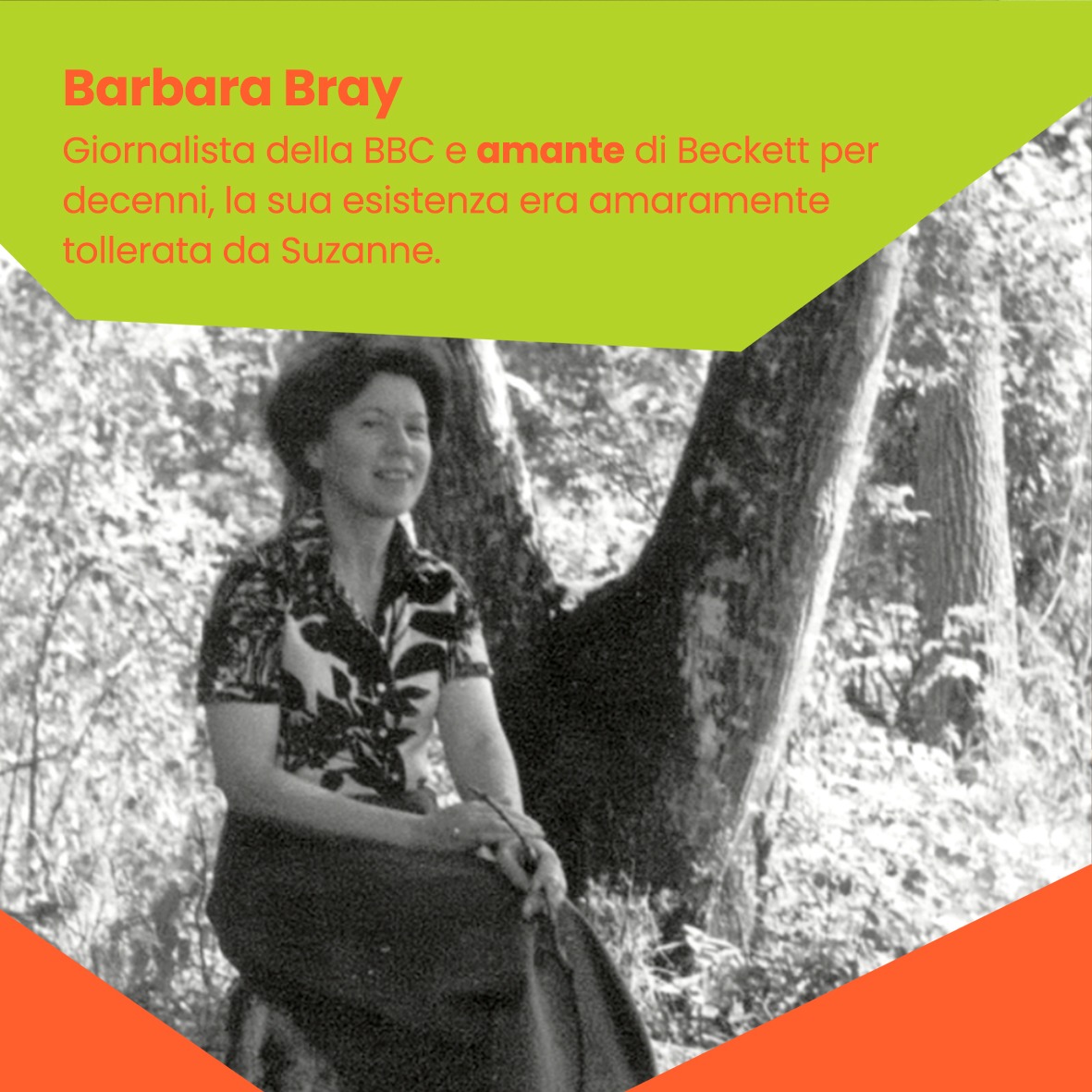 BIM Distribuzione tweet media