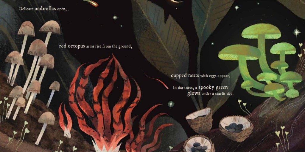 Sleeping Bear Press tweet media