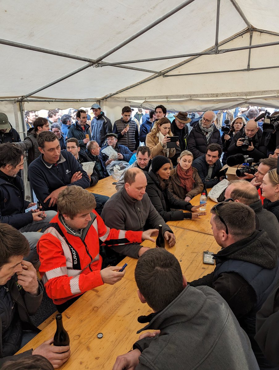 Anister King tweet media