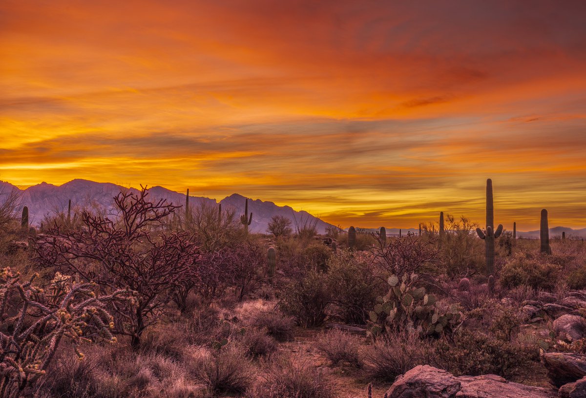 Colorful #sunrise to start your Monday over the #Tucson #Arizona metro area today. #azwx #sunrisephotography <a href="/sheasorensonwx/">Shea Sorenson</a> <a href="/WaldrefWeather/">Stephanie Waldref</a> <a href="/MallorySchnell/">Mallory Schnell</a> <a href="/whatsuptucson/">Whats Up Tucson</a> <a href="/NWSTucson/">NWS Tucson</a>