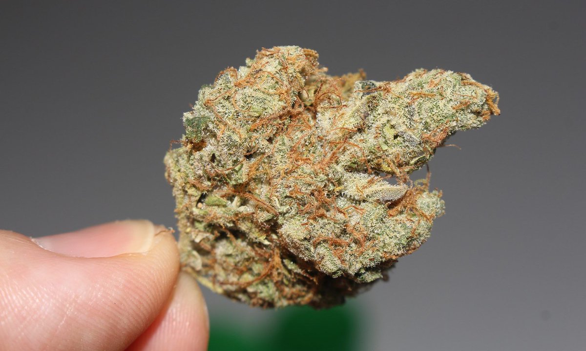 Several U.S. states where cannabis is legalized experienced record-breaking monthly sales in December. Many recently established adult-use cannabis markets showed continued growth, and American cannabis consumers increased their holiday spending.

buff.ly/3UhrF28