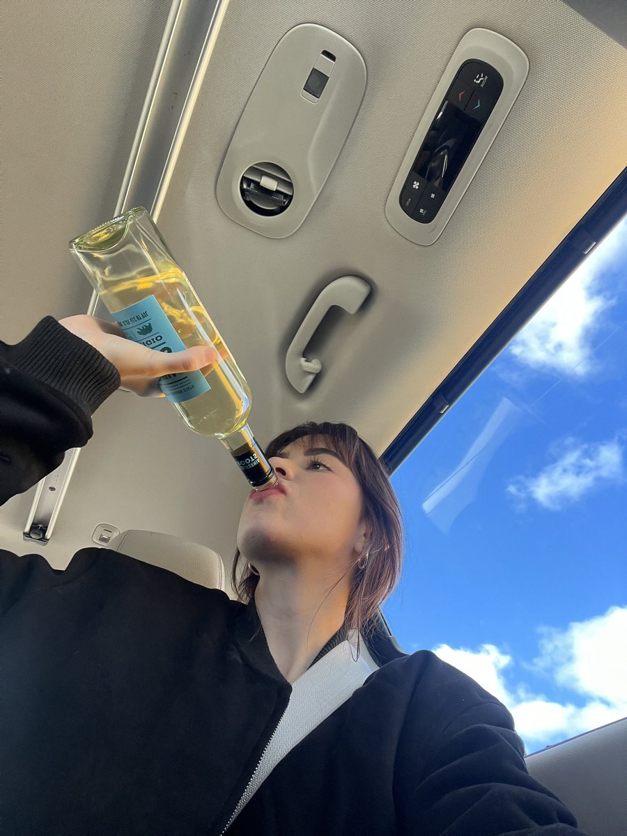 sofia santino tweet media